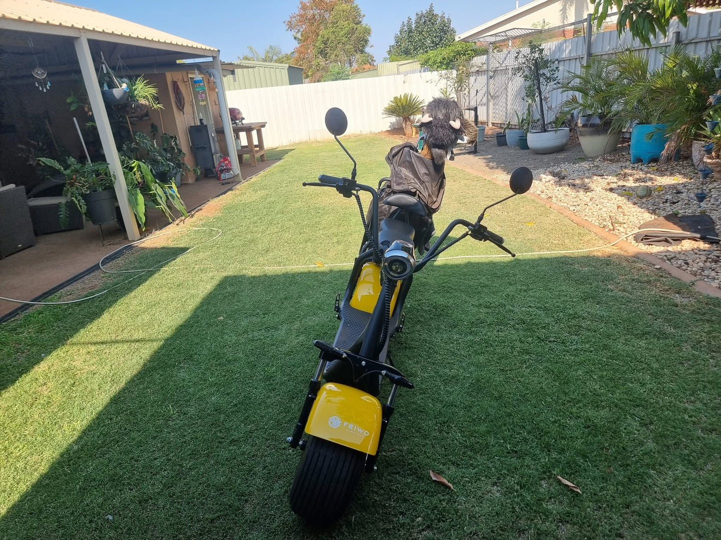 Golf E Scooter