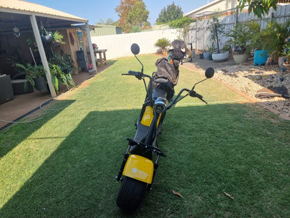 Golf E Scooter