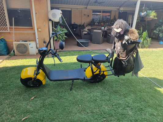 Golf E Scooter